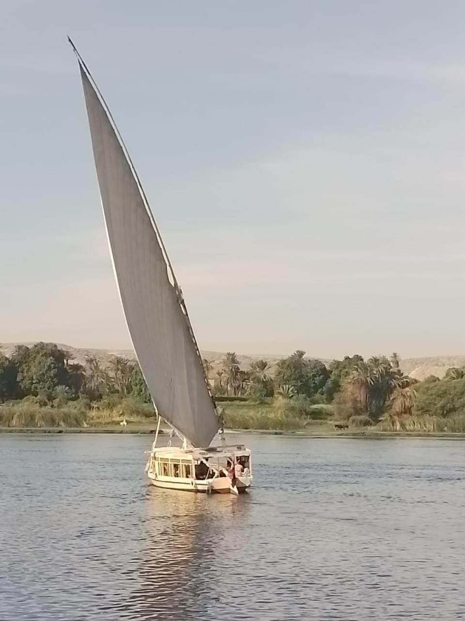 Nile Felucca Adventure Hotel Aswan Ngoại thất bức ảnh